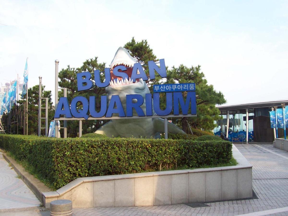 Apartmán Haeundae Luxury House Pusan Exteriér fotografie